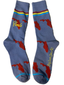 Florida Shapes in Blue and Red Men's Socks-1