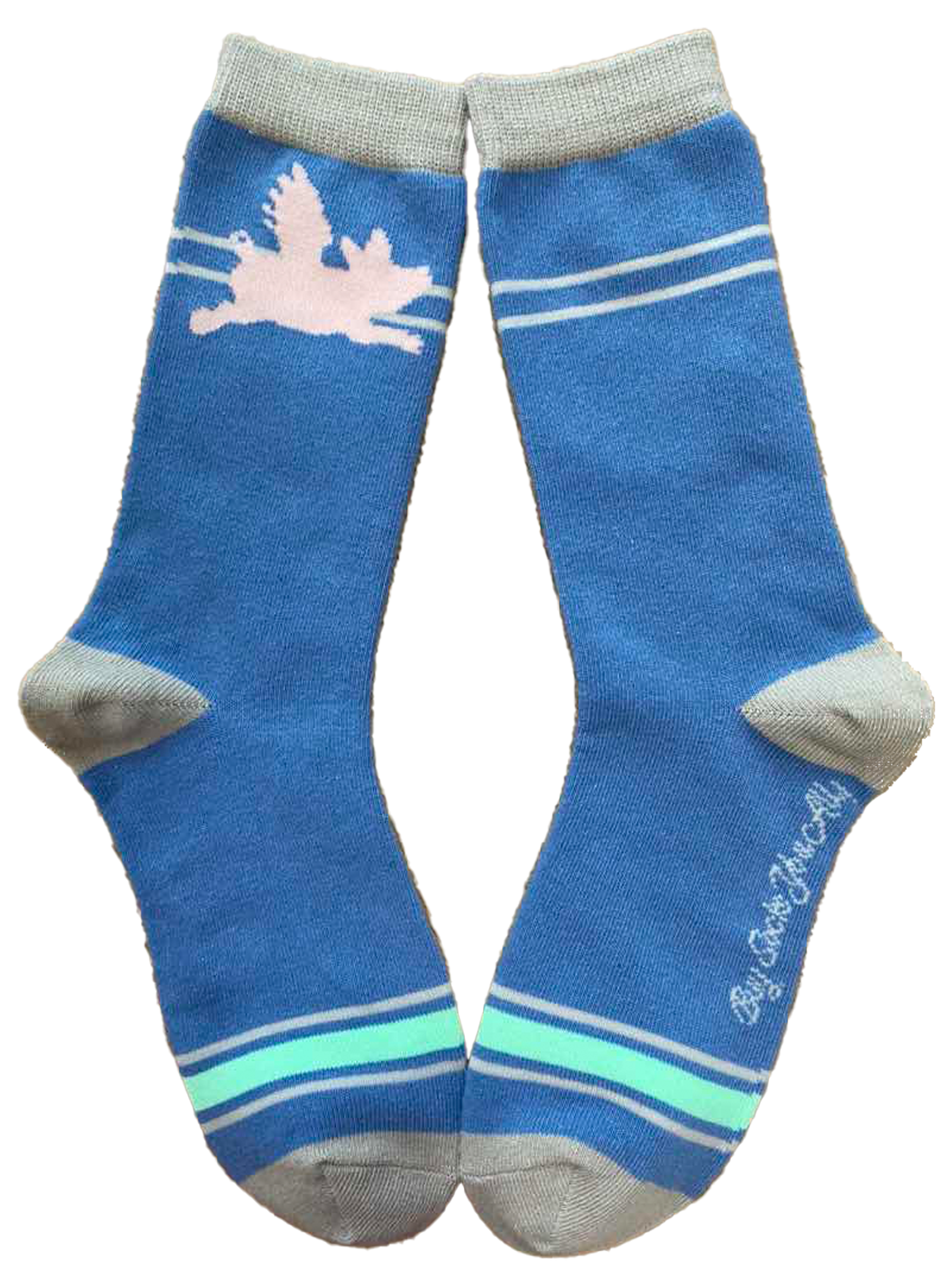 Flying Pig Women's Socks