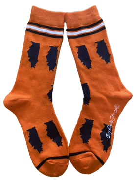 Illinois Shapes in Blue and Orange Women's Socks