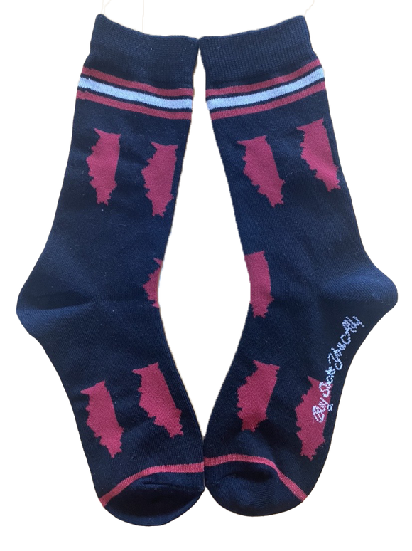 Illinois Shapes in Red and Black Women's Socks