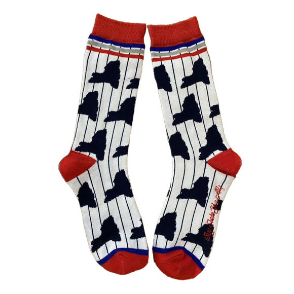 New York Shapes with Pinstripe Women's Socks
