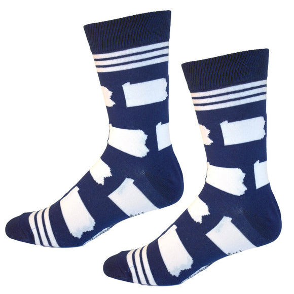 Pennsylvania Shapes in Blue and White Men's Socks