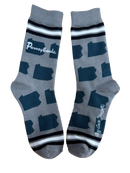 Pennsylvania Shapes in Teal and Silver Women's Socks-1