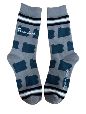 Pennsylvania Shapes in Teal and Silver Women's Socks