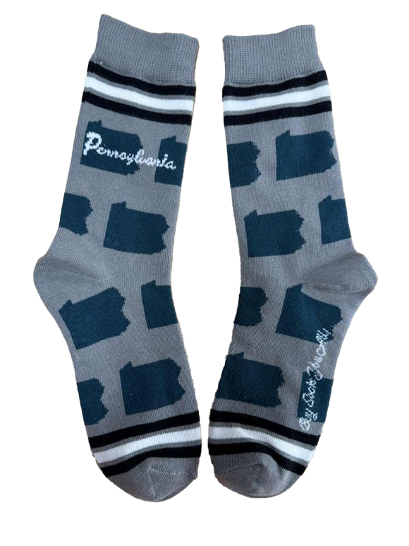Pennsylvania Shapes in Teal and Silver Women's Socks