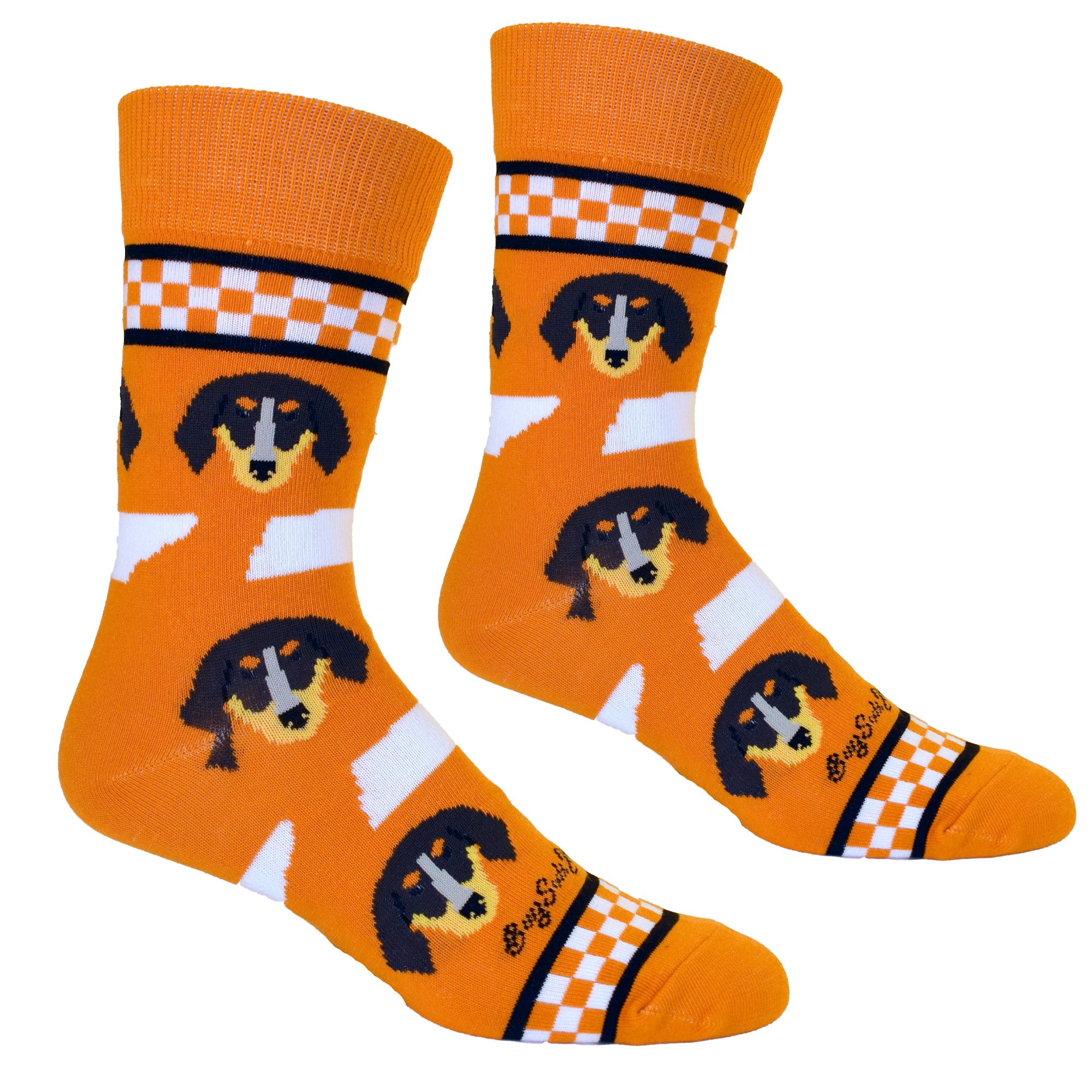 Tennessee Shapes and Coonhounds Men's Socks