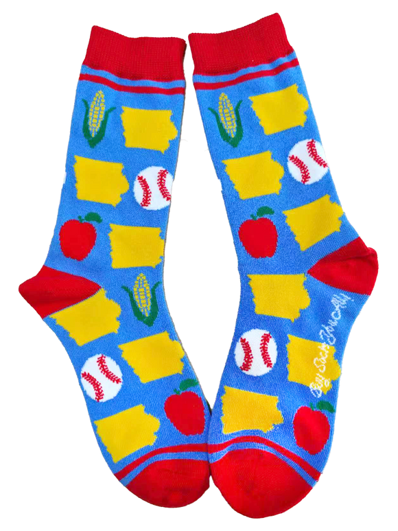 Iowa Shapes with Icons Women's Socks