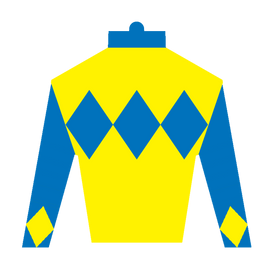 Derby Silk in Blue and Yellow Sticker