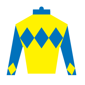 Derby Silk in Blue and Yellow Sticker