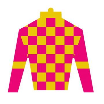 Derby SIlk in Pink and Yellow Sticker