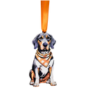 Tennessee Bluetick Coonhound Ornament-1