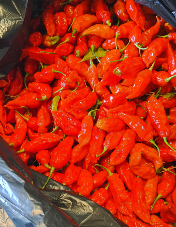 Kentucky Fine Bourbon Blaze Hot Sauce