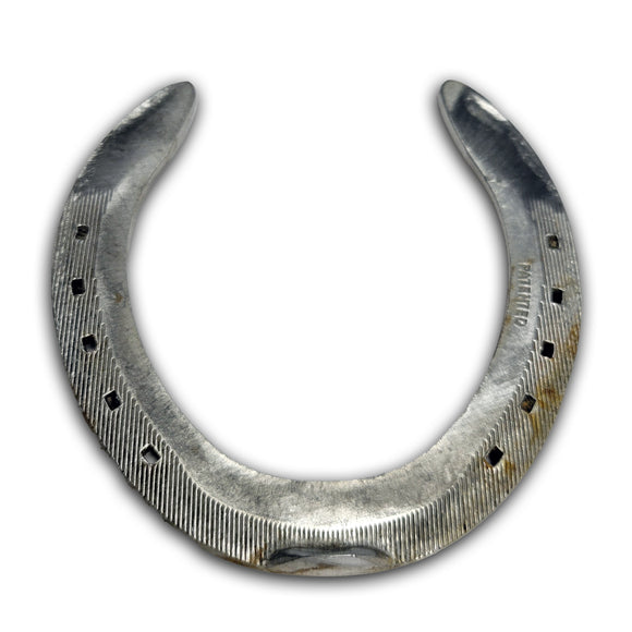 Authentic Lucky Horse Shoe