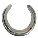 Authentic Lucky Horse Shoe-3