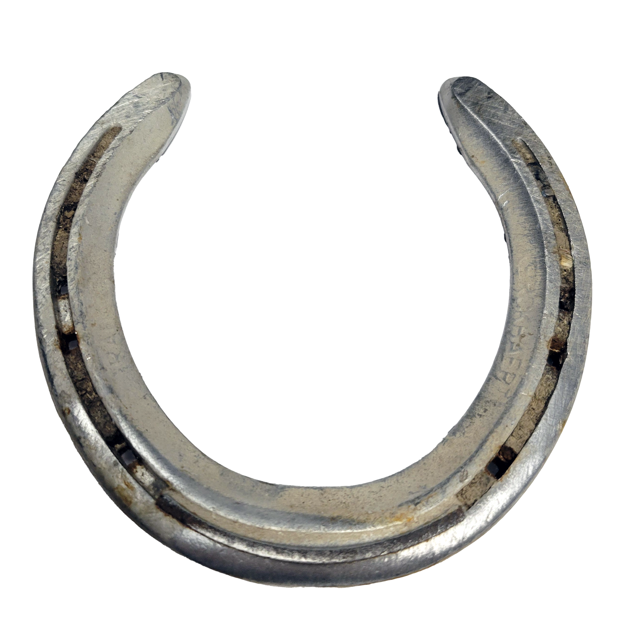 Authentic Lucky Horse Shoe