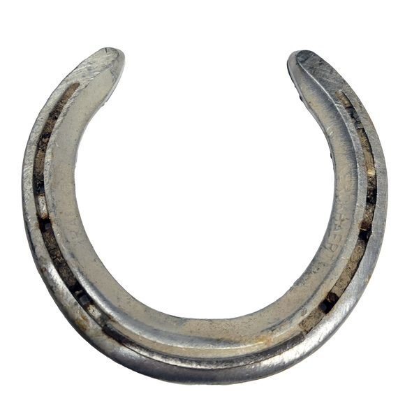 Authentic Lucky Horse Shoe