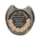 Authentic Lucky Horse Shoe-1