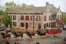 Old Talbott Tavern Clydesdales Post Card