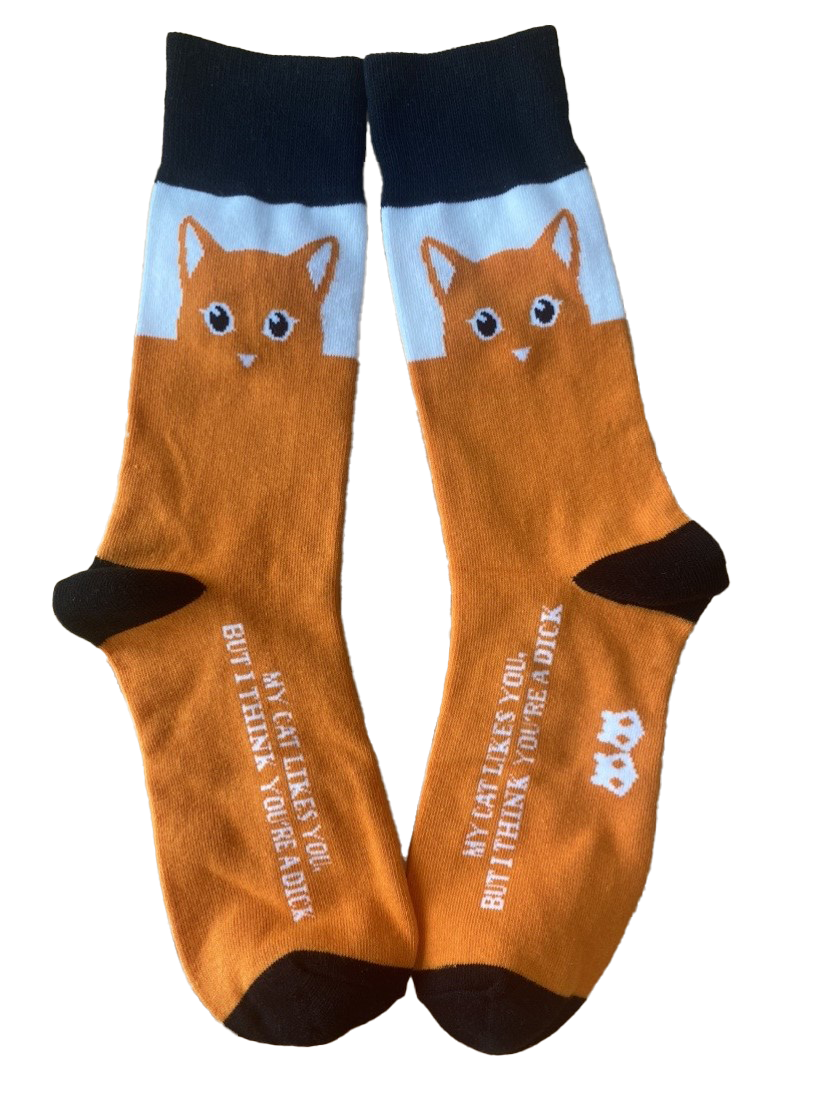 My Cat Likes You Mens Socks