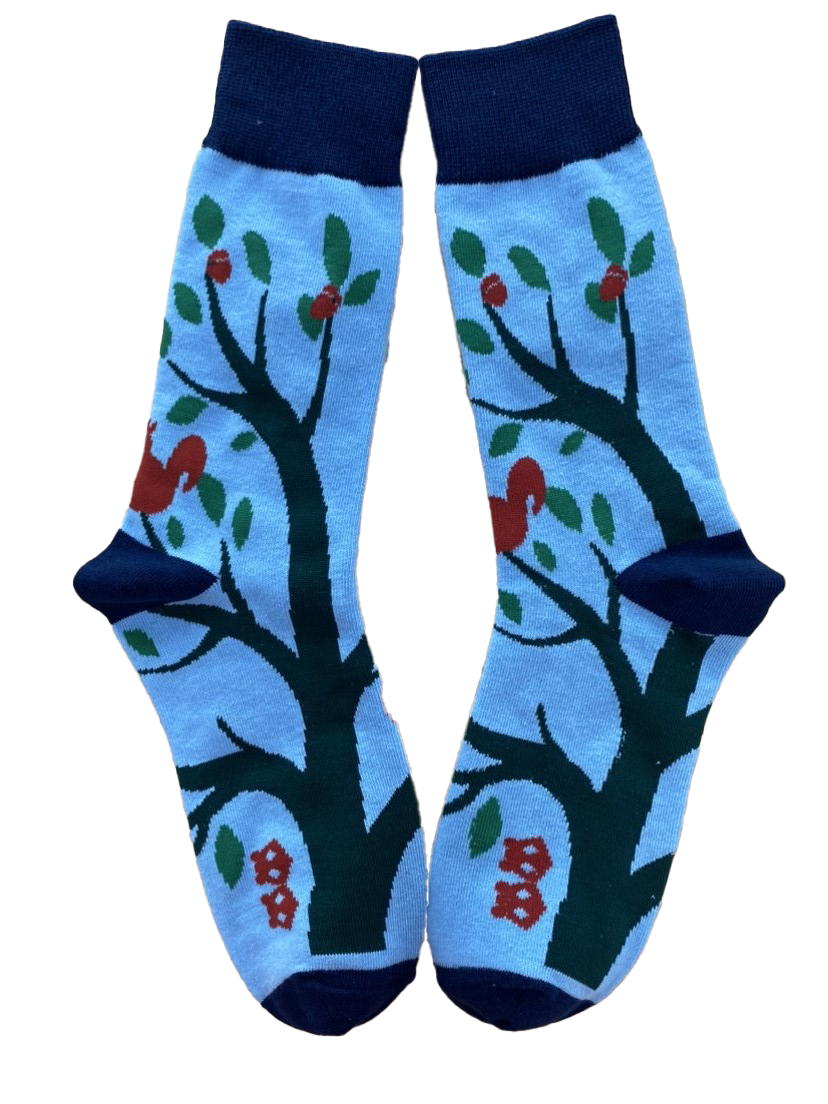 Protect Your Nuts Mens Socks