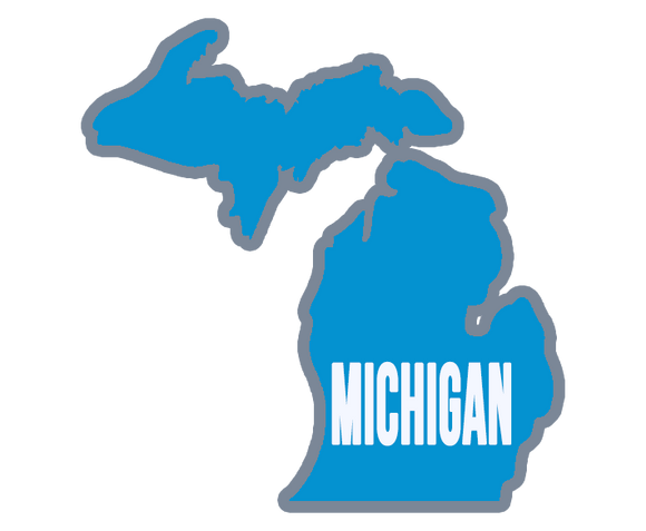 Michigan State in Blue and White Wooden Magnet