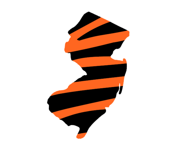 New Jersey with Tiger Stripes Wooden Magnet