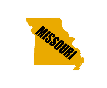 Missouri State in Gold and Black Wooden Magnet