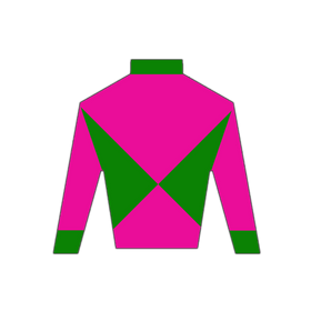 Derby Silk in Pink and Green Wooden Magnet