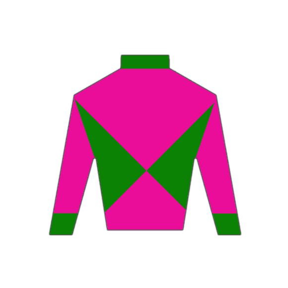 Derby Silk in Pink and Green Wooden Magnet