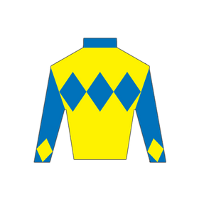 Derby Silk in Blue and Yellow Wooden Magnet