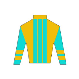 Derby Silk in Yellow and Turquoise Wooden Magnet