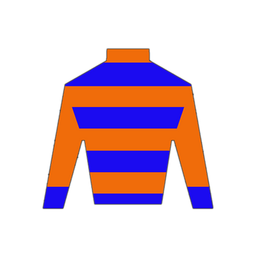 Derby Silk in Orange and Blue Wooden Magnet