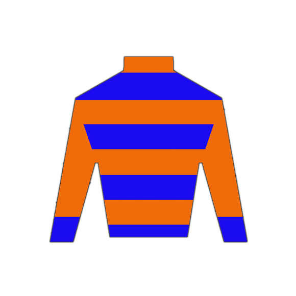 Derby Silk in Orange and Blue Wooden Magnet