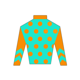 Derby Silk in Orange and Teal Wooden Magnet