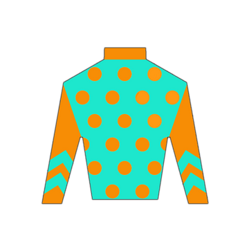 Derby Silk in Orange and Teal Wooden Magnet