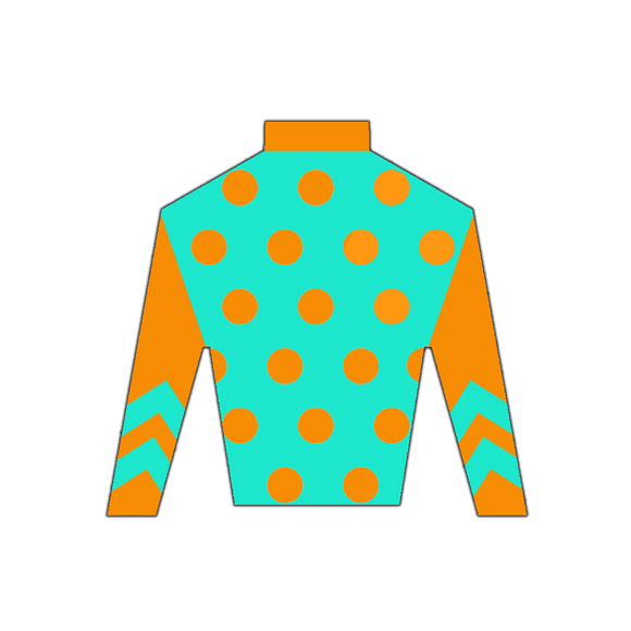 Derby Silk in Orange and Teal Wooden Magnet