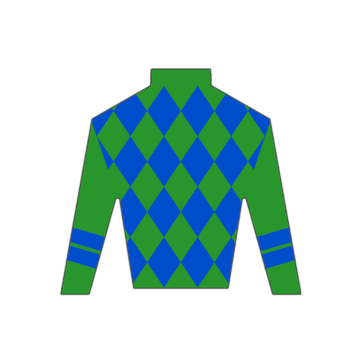 Derby Silk in Blue and Green Wooden Magnet