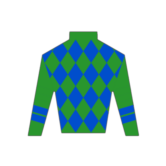 Derby Silk in Blue and Green Wooden Magnet