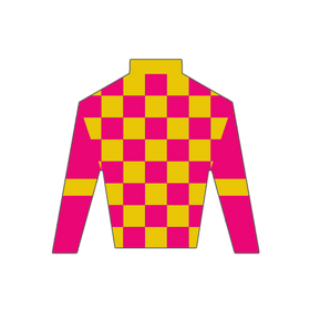 Derby Silk in Pink and Yellow Wooden Magnet