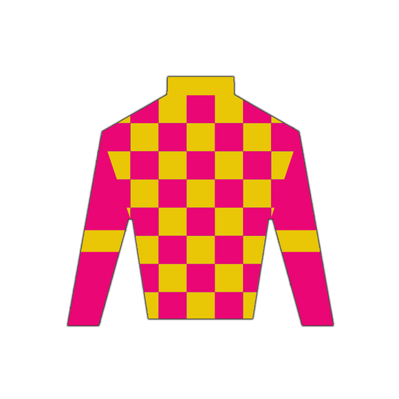 Derby Silk in Pink and Yellow Wooden Magnet