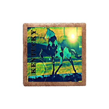 Bright Horse Magnet
