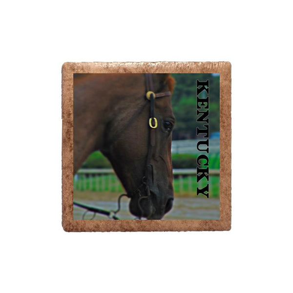 Derby Horse Close Up Magnet