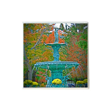 Madison Fountain Coaster