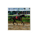 Derby Horse Red  Coaster-1