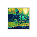 Bright Horse Coaster-1