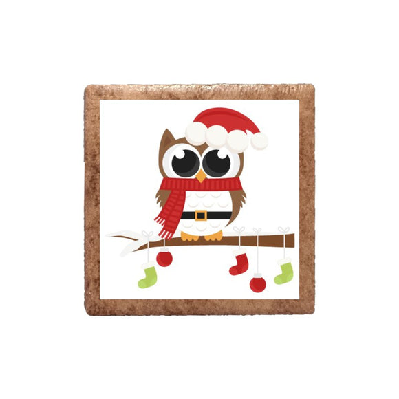 Owl with Scarf Magnet