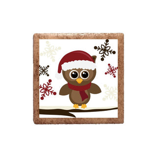 Owl with Snowflakes Magnet