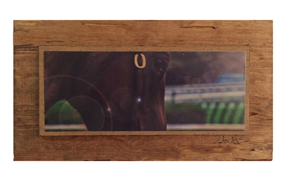 Derby Horse Close Up Wooden Art